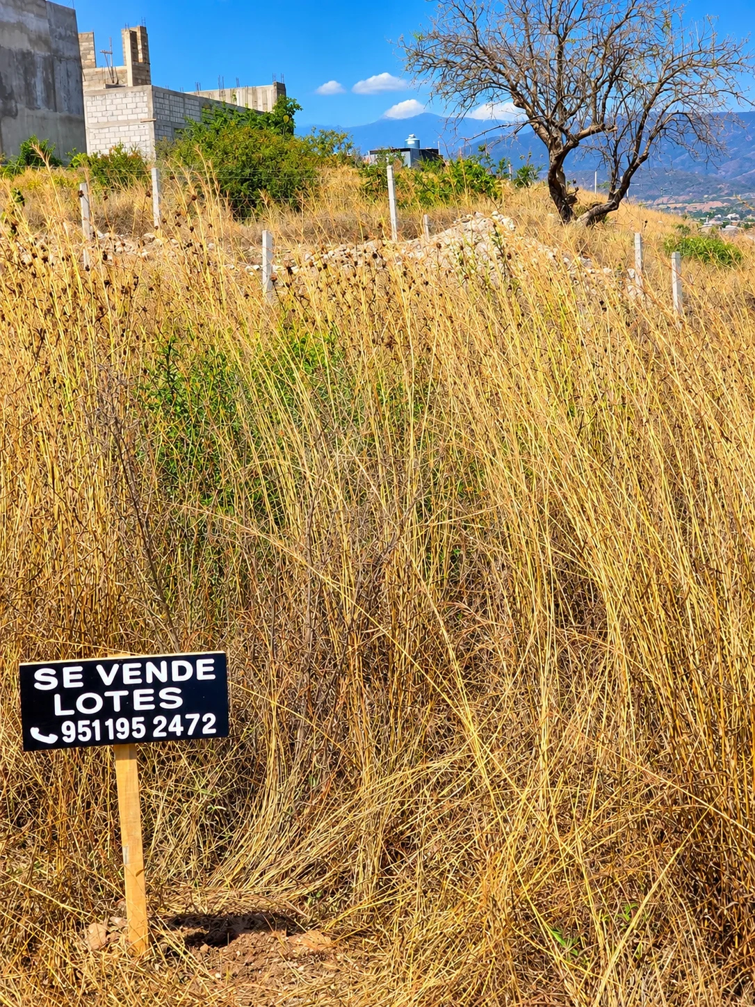 Lote · col. Impulso · Zaachila
