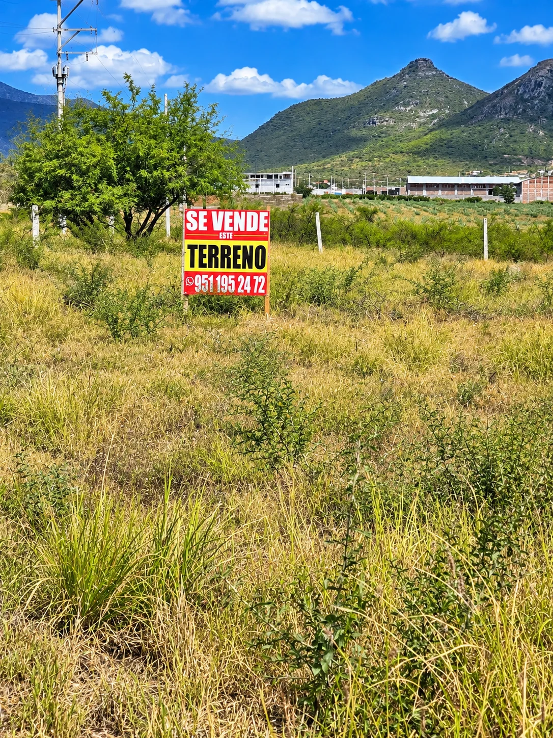 Terreno · col. Lomas de Santa Ana · Tlacolula