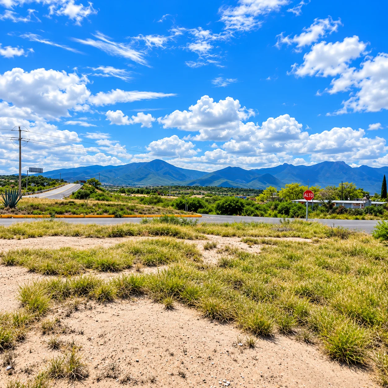 Terreno-orilla de carretera-Negocio-Mitla — foto 8
