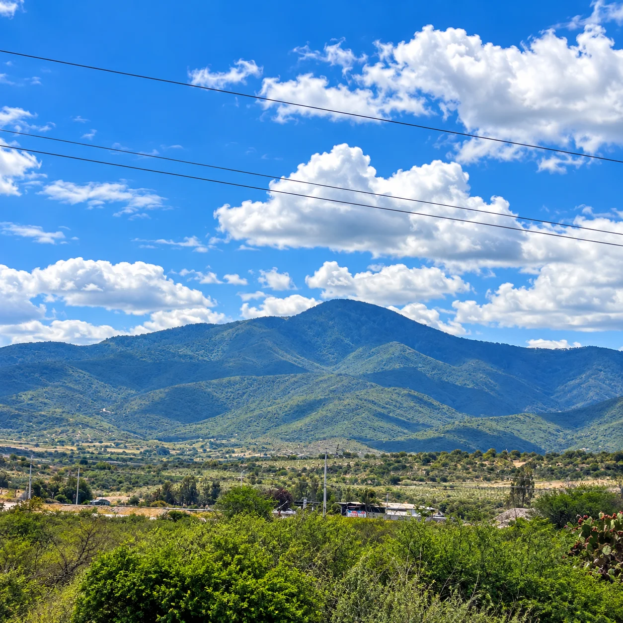 Terreno-orilla de carretera-Negocio-Mitla — foto 10