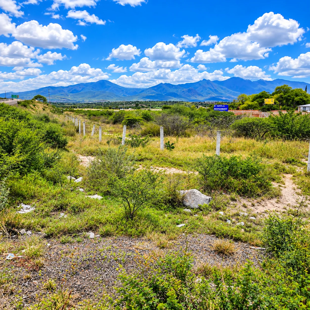 Terreno-orilla de carretera-Negocio-Mitla — foto 11