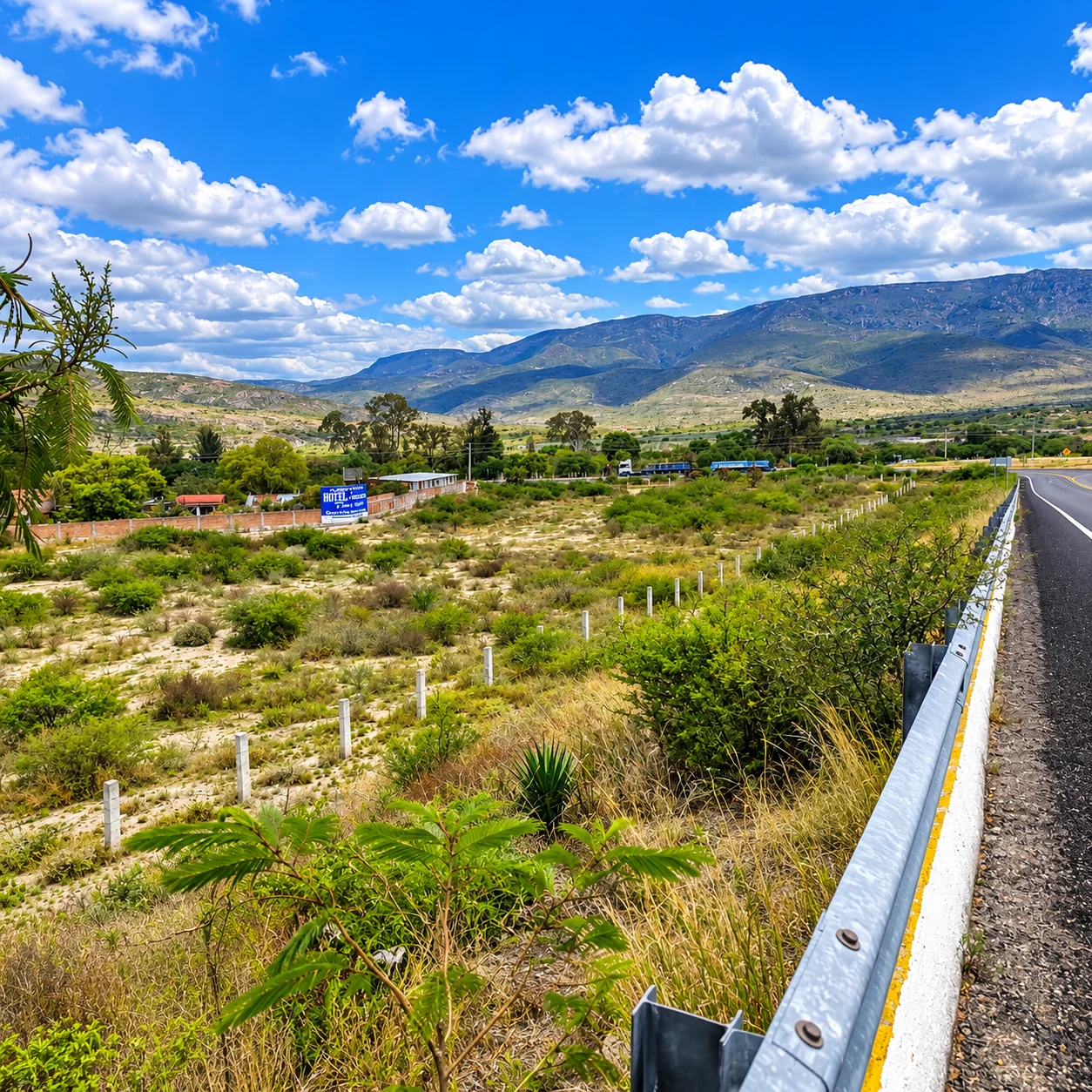 Terreno-orilla de carretera-Negocio-Mitla — foto 12