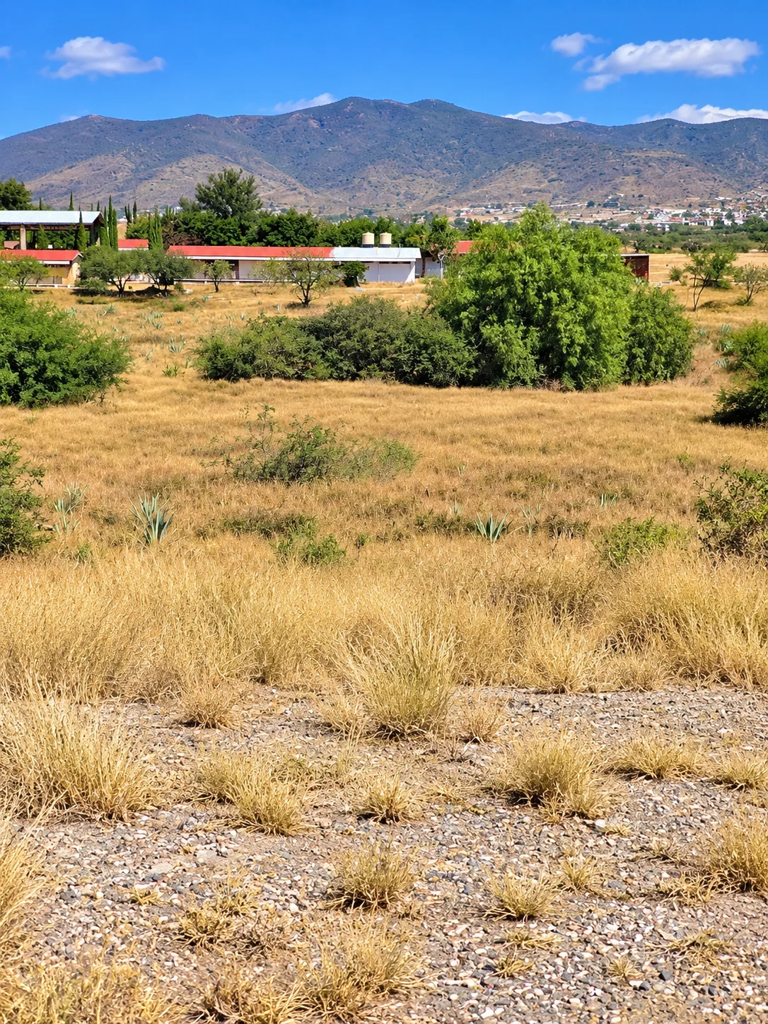Lote · Tlacolula de Matamoros