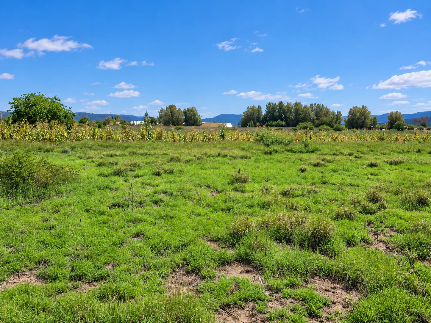 Terreno de 230 m² · atrás del Baratillo de Toros en Tlacolula-facilidades de pago — foto 4