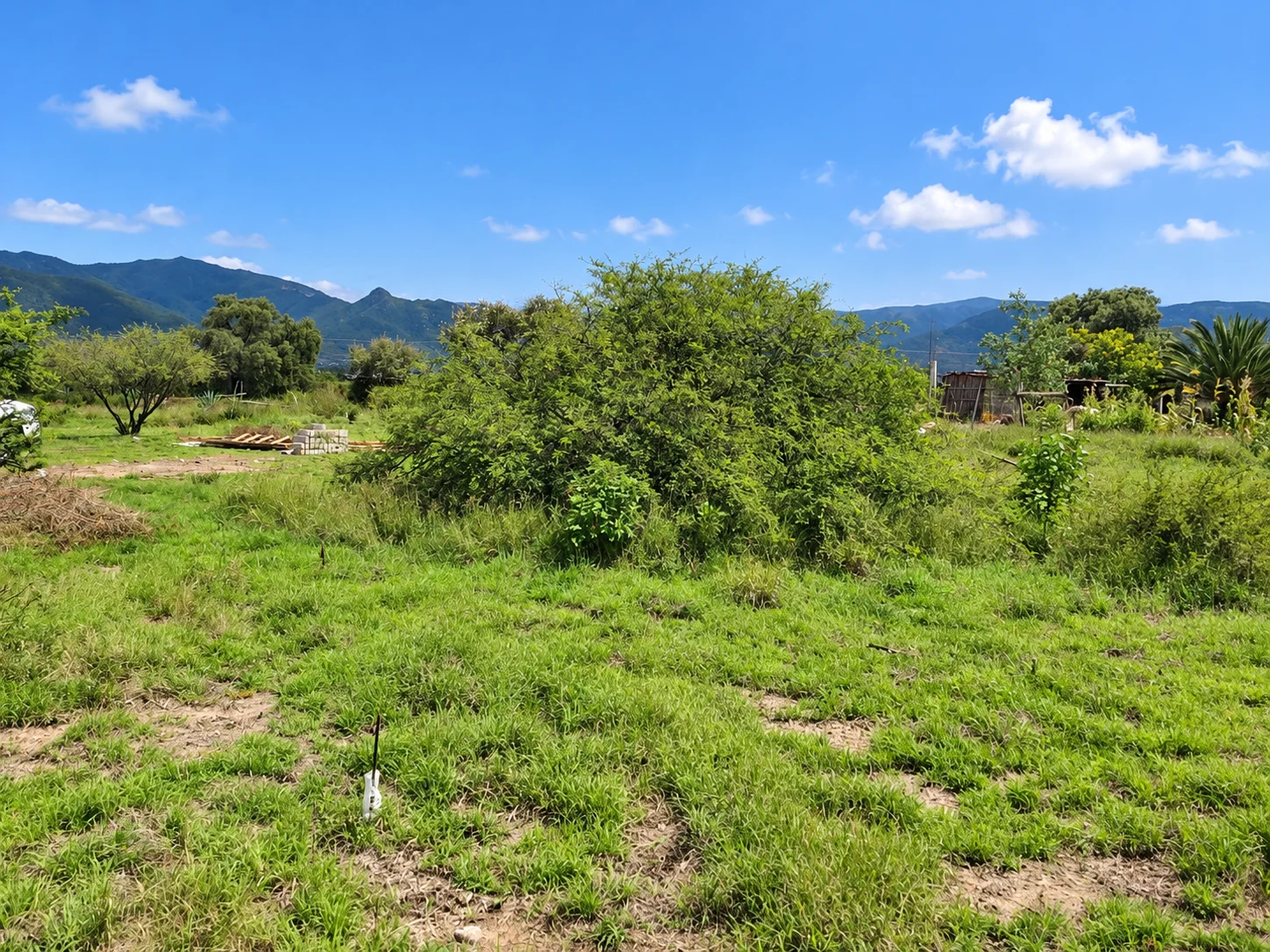 Terreno de 230 m² · atrás del Baratillo de Toros en Tlacolula-facilidades de pago — foto 7