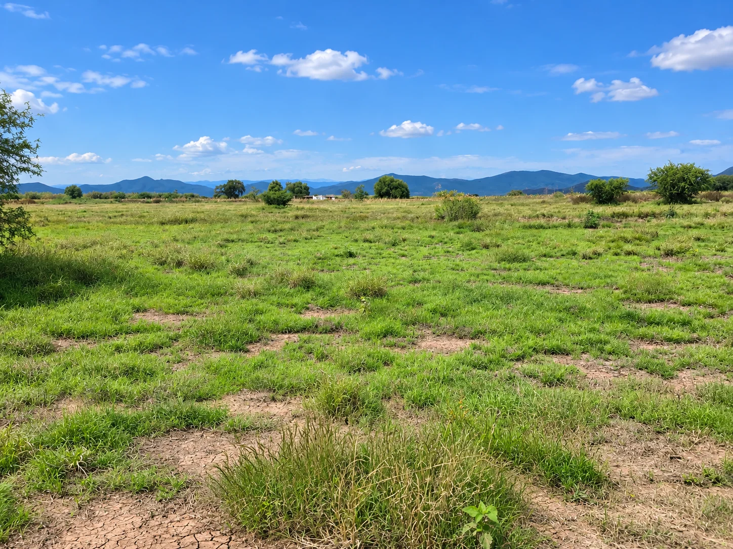 Terreno de 230 m² · atrás del Baratillo de Toros en Tlacolula-facilidades de pago