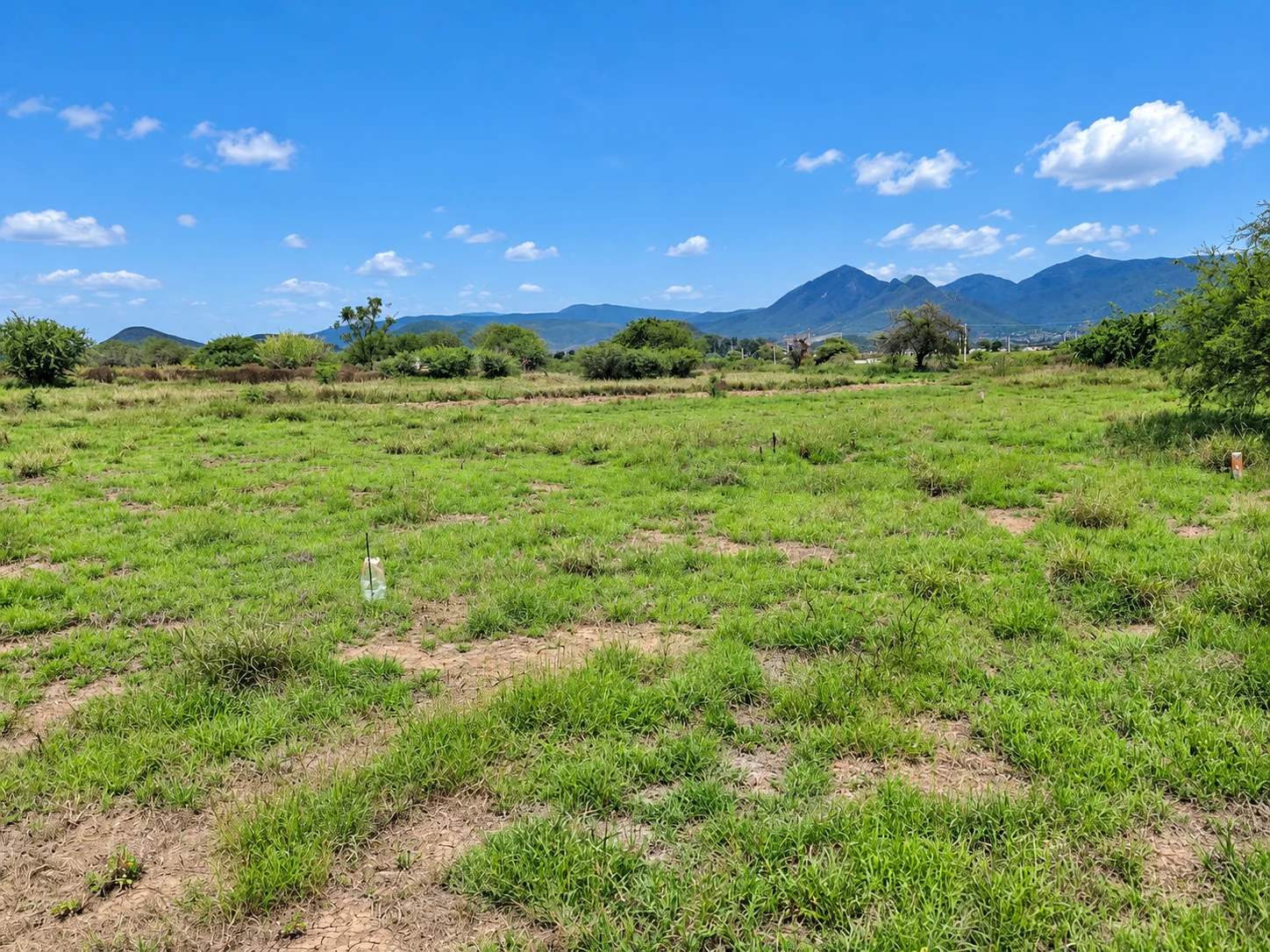 Terreno de 230 m² · atrás del Baratillo de Toros en Tlacolula-facilidades de pago — foto 3