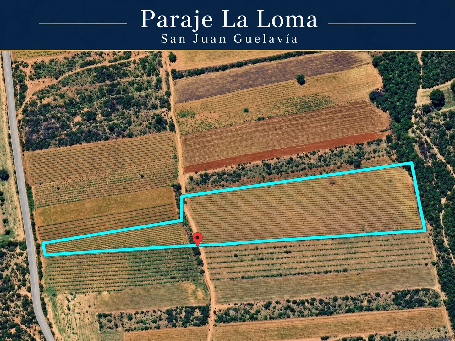Terreno- 27,760 m²-plantío de agave-certificado -San Juan Guelavía — foto 10