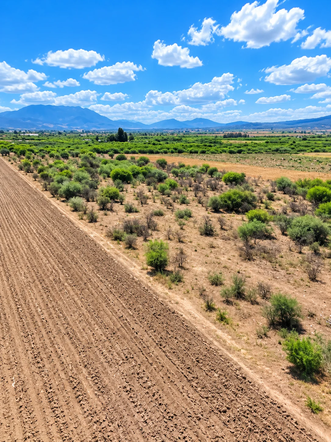 Terreno · Tanivet · Tlacolula — foto 4