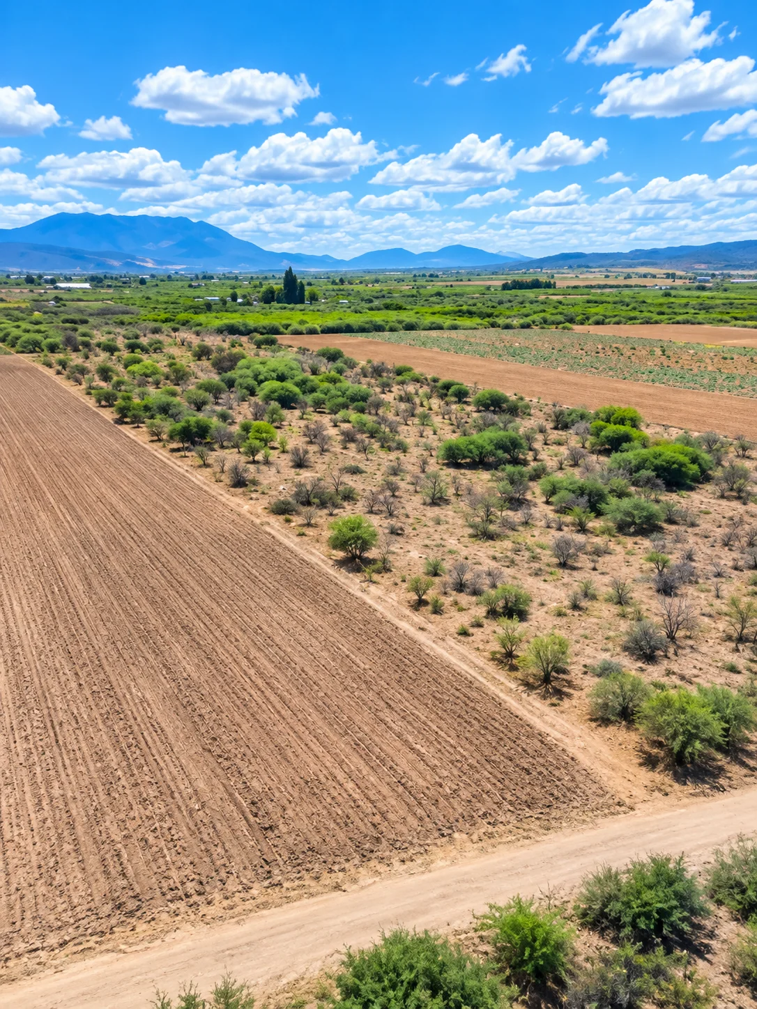 Terreno · Tanivet · Tlacolula — foto 3