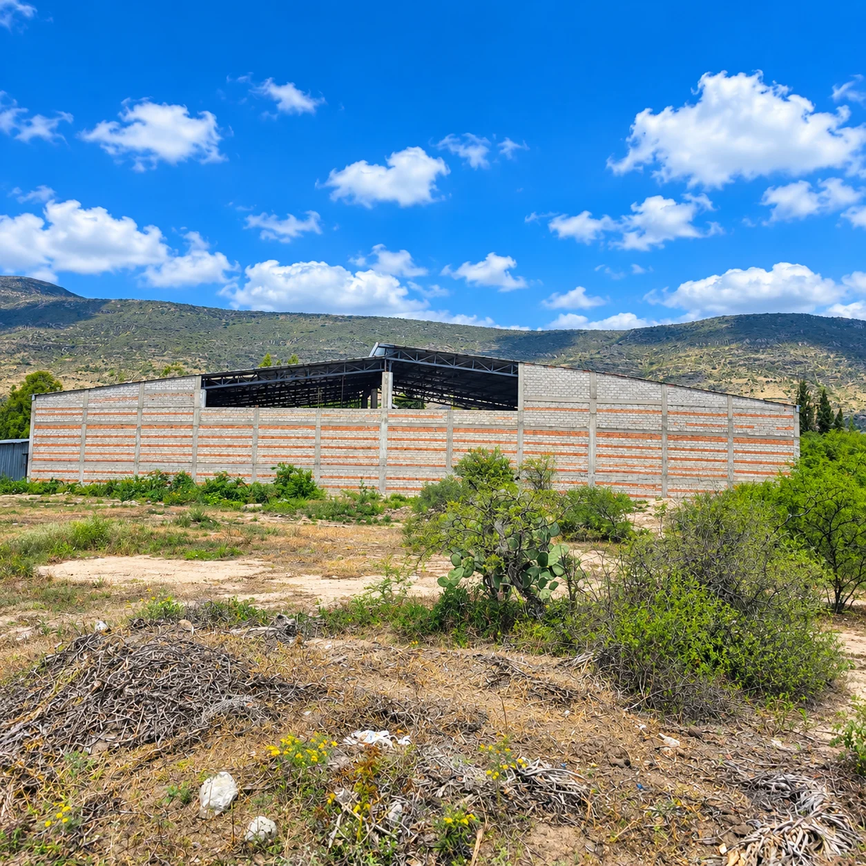 Terreno · Mitla · cerca de carretera — foto 9