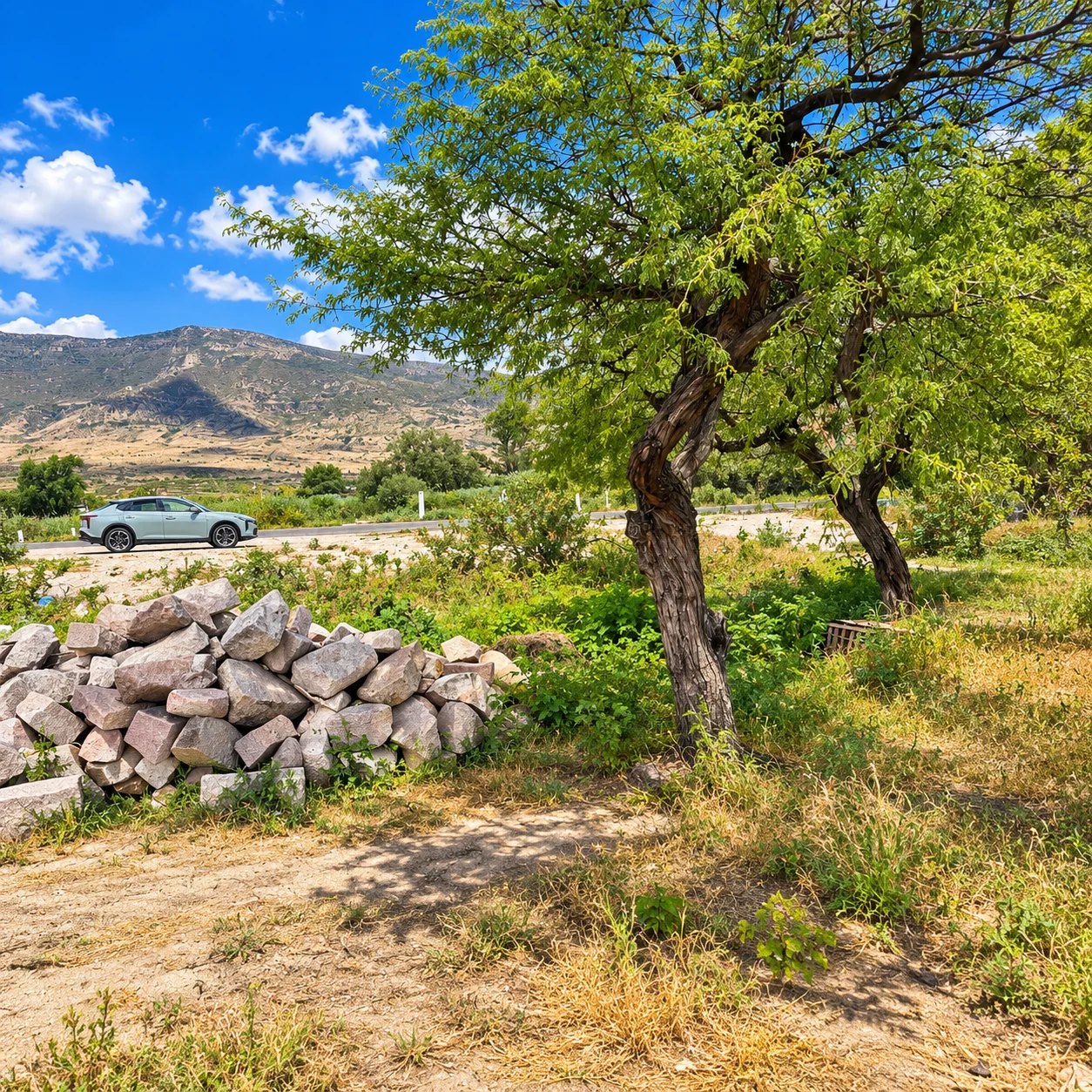 Terreno · Mitla · cerca de carretera — foto 2