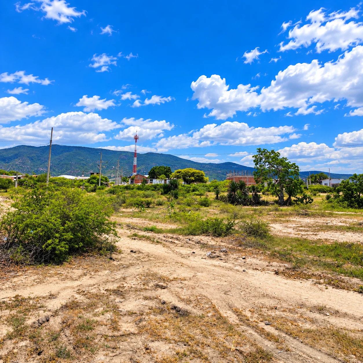 Terreno · Mitla · cerca de carretera — foto 6