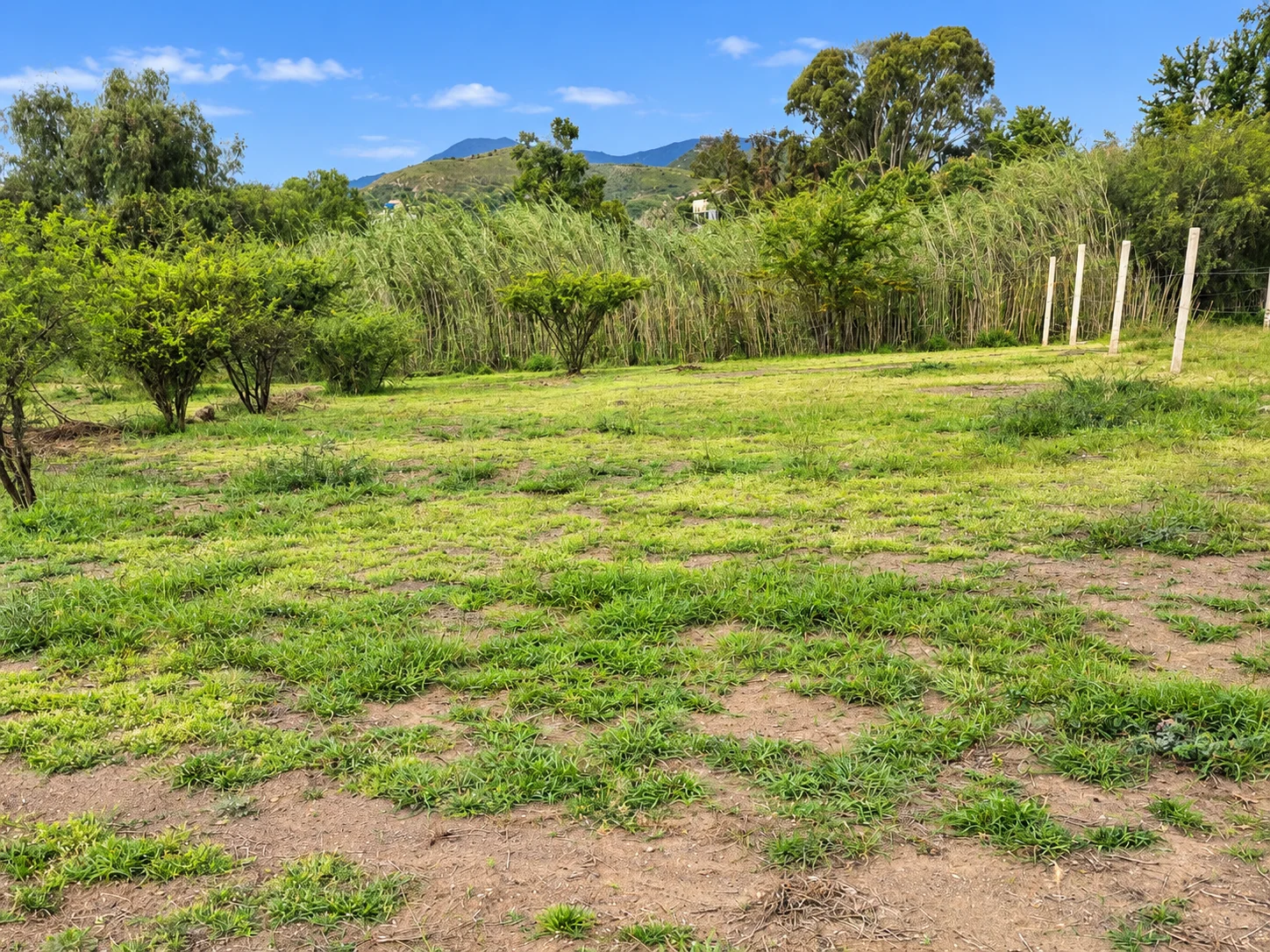 Lote de 10 × 30 m · Calle León Bello · Tlacolula — foto 4