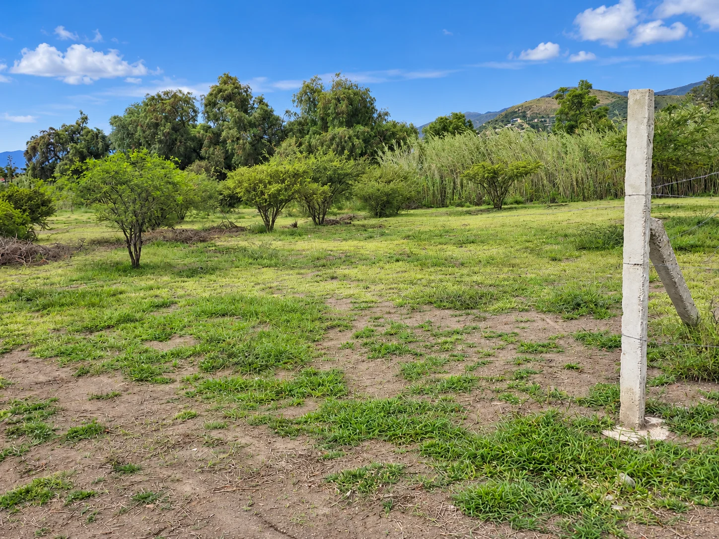Lote de 10 × 30 m · Calle León Bello · Tlacolula — foto 5
