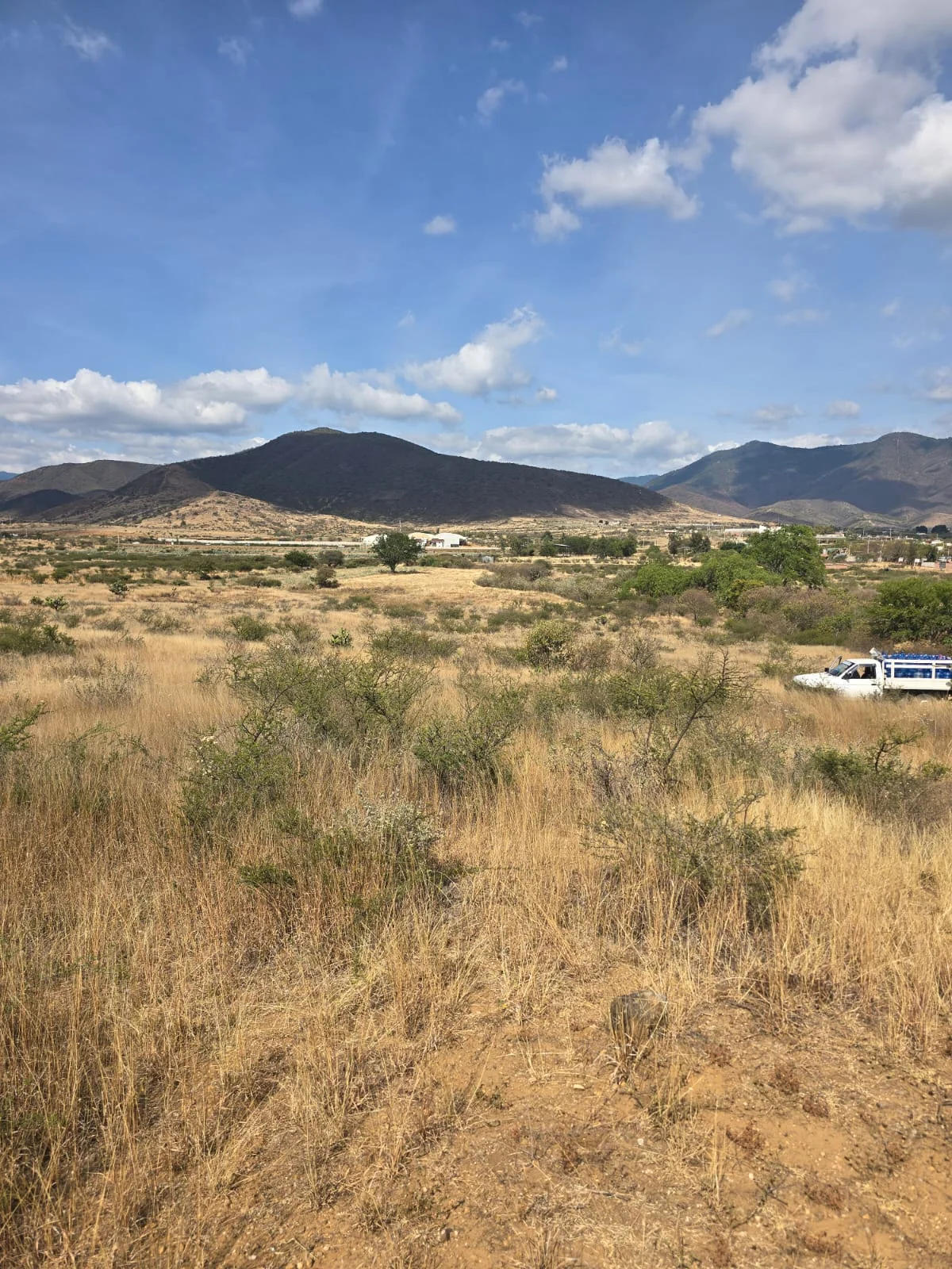 Terreno · Santiago Ixtaltepec · 20,000 m² — foto 2