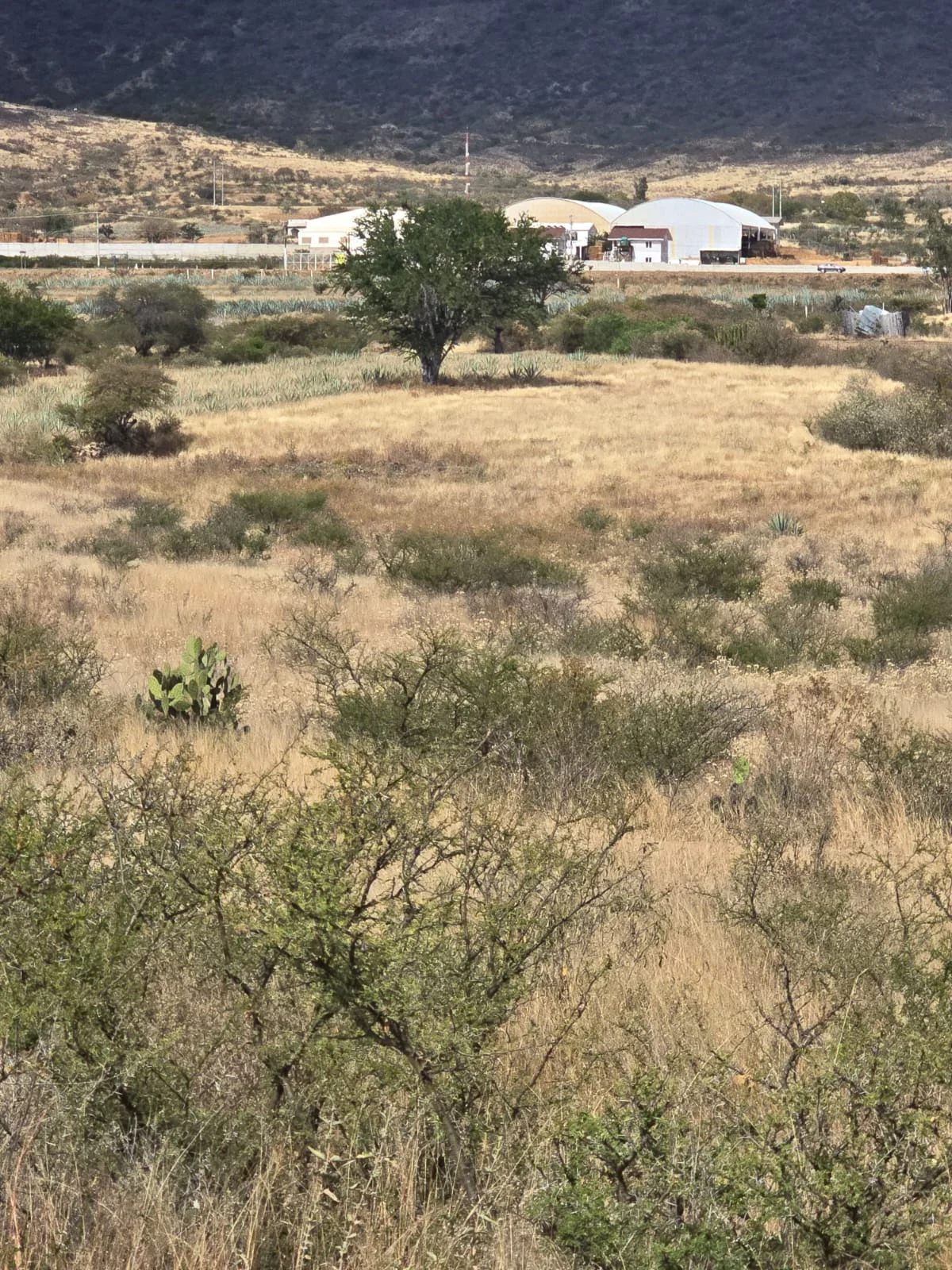 Terreno · Santiago Ixtaltepec · 20,000 m²