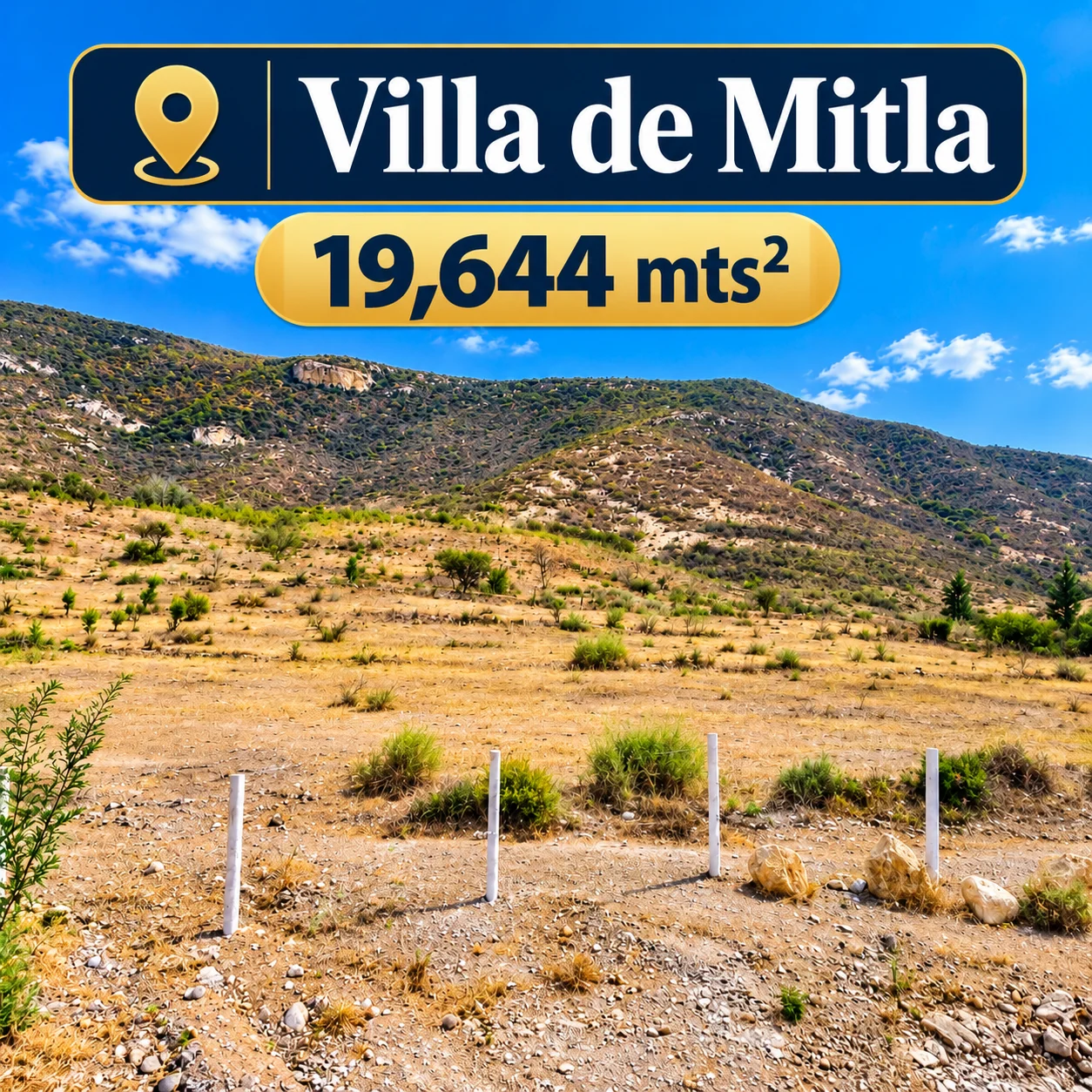 Terreno de 19,644 m² en venta en San Pablo Villa de Mitla, Paraje Ni Danne
