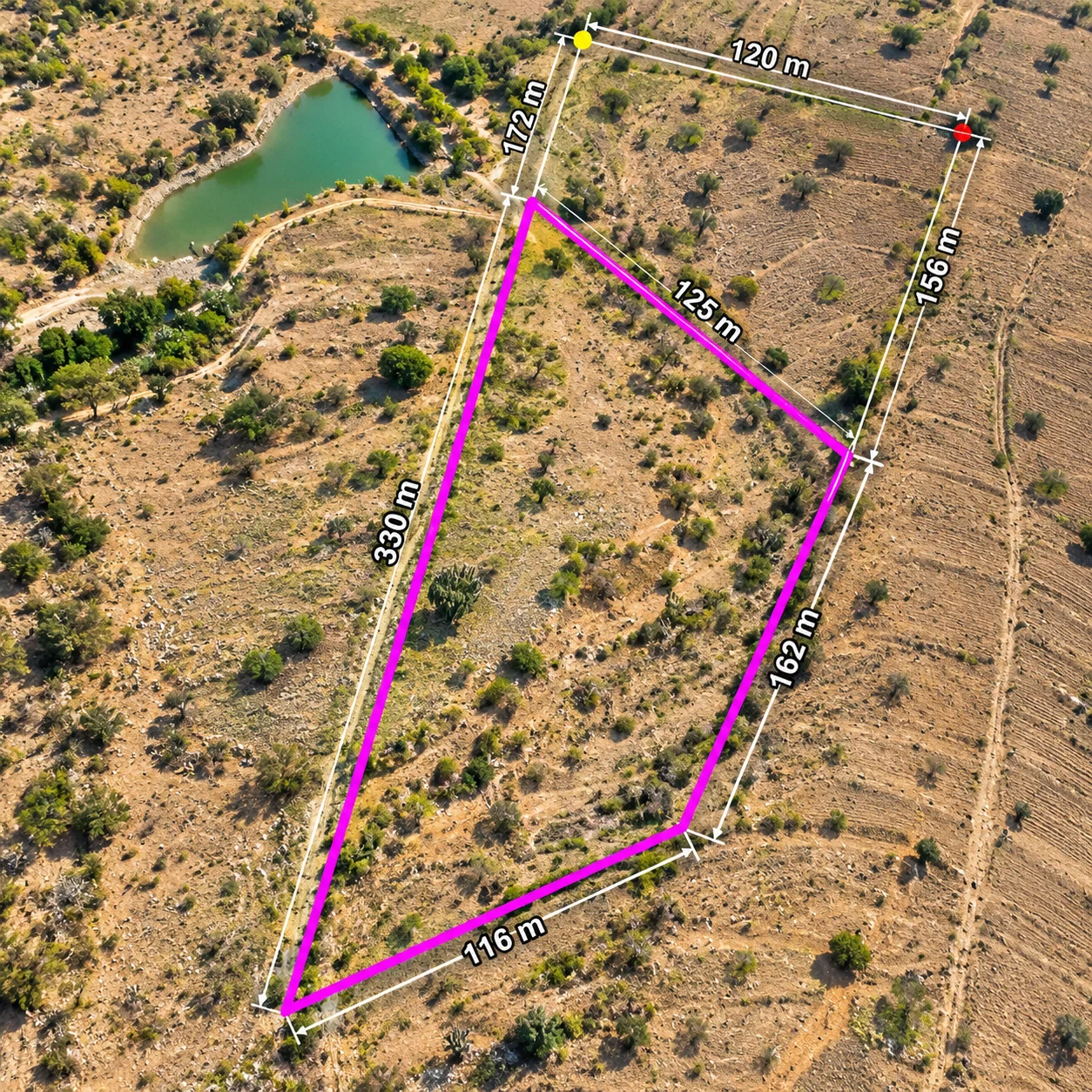 Terreno de 19,644 m² en venta en San Pablo Villa de Mitla, Paraje Ni Danne — foto 6