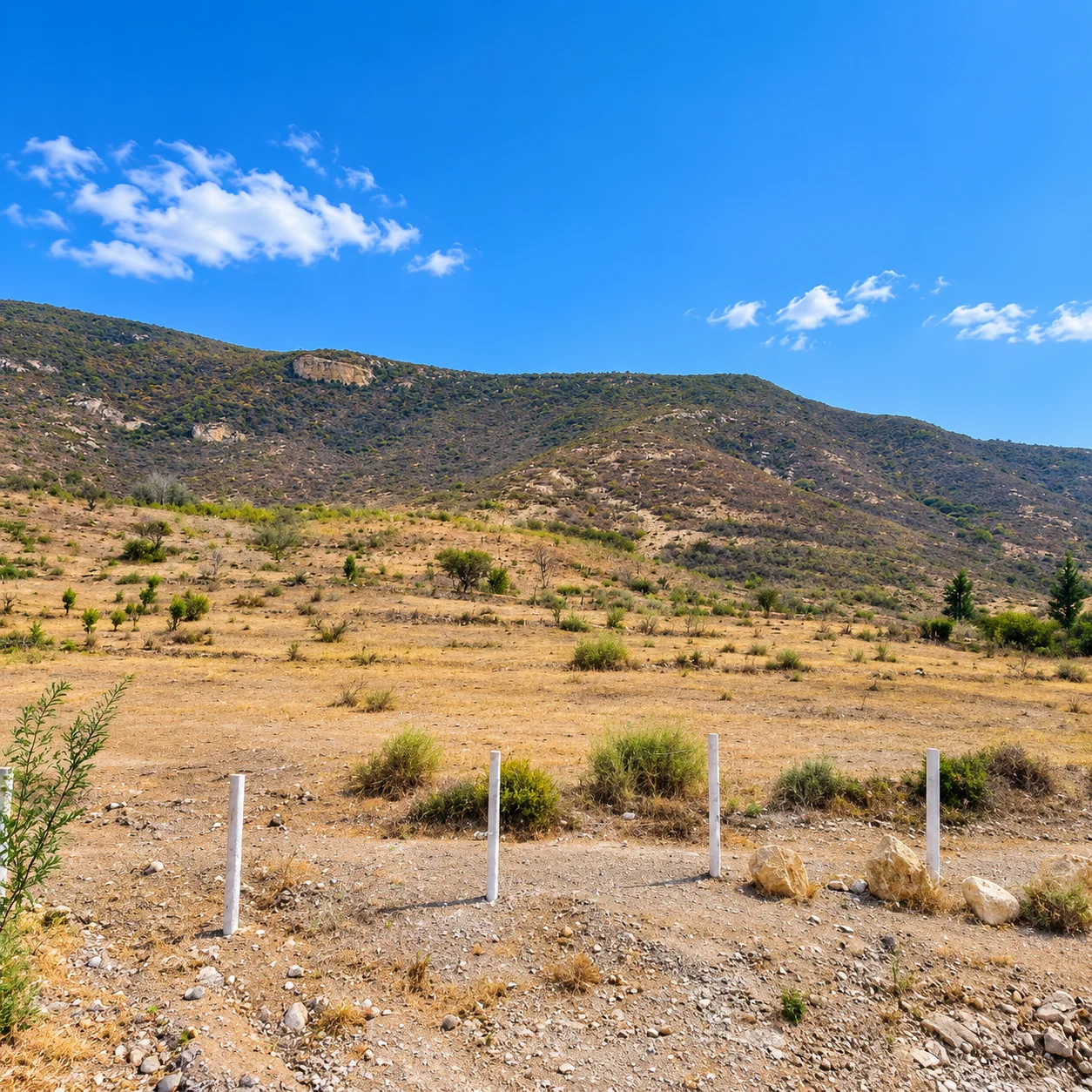 Terreno de 19,644 m² en venta en San Pablo Villa de Mitla, Paraje Ni Danne — foto 2