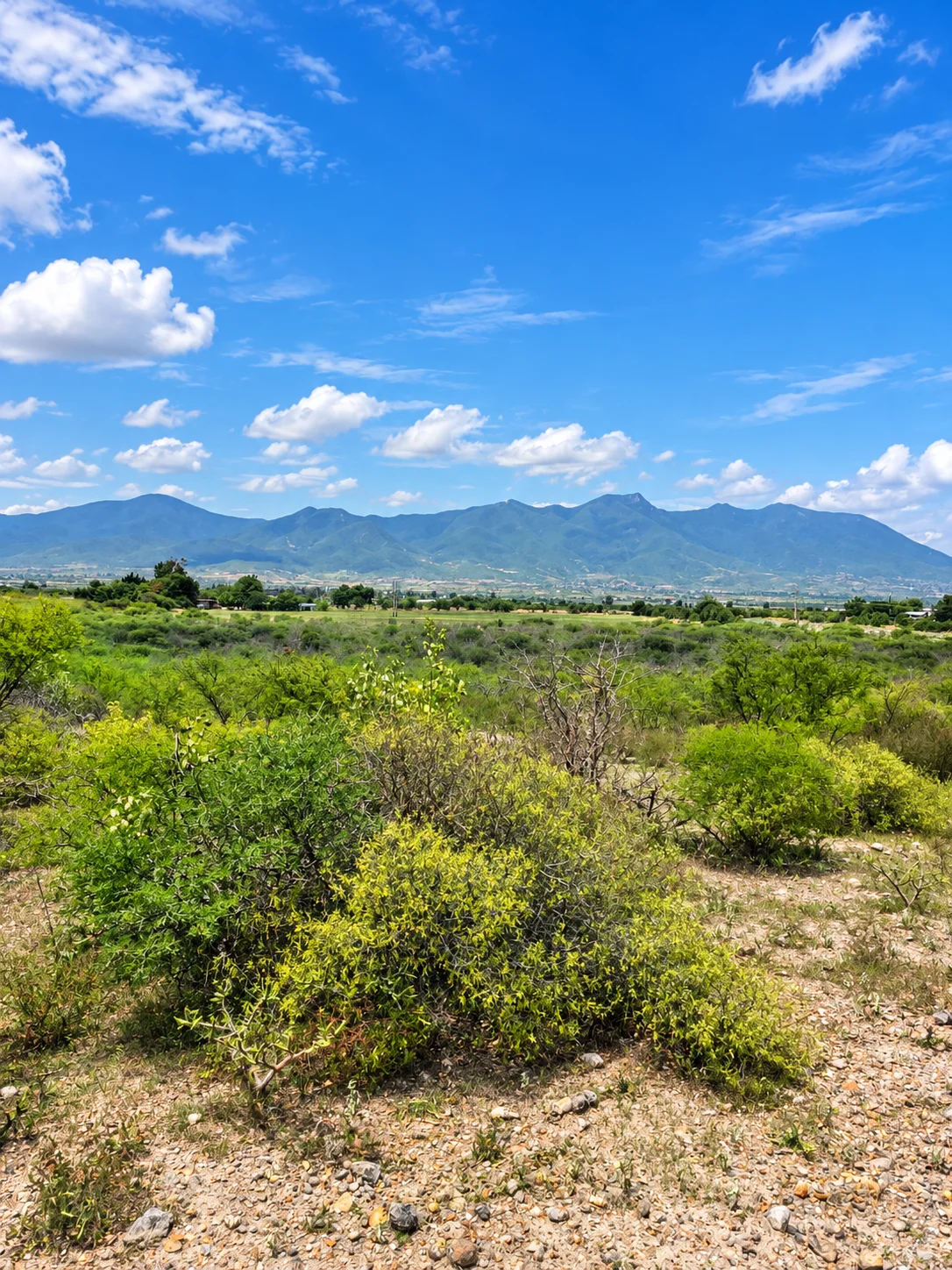 Terreno · Tanivet · Tlacolula — foto 4