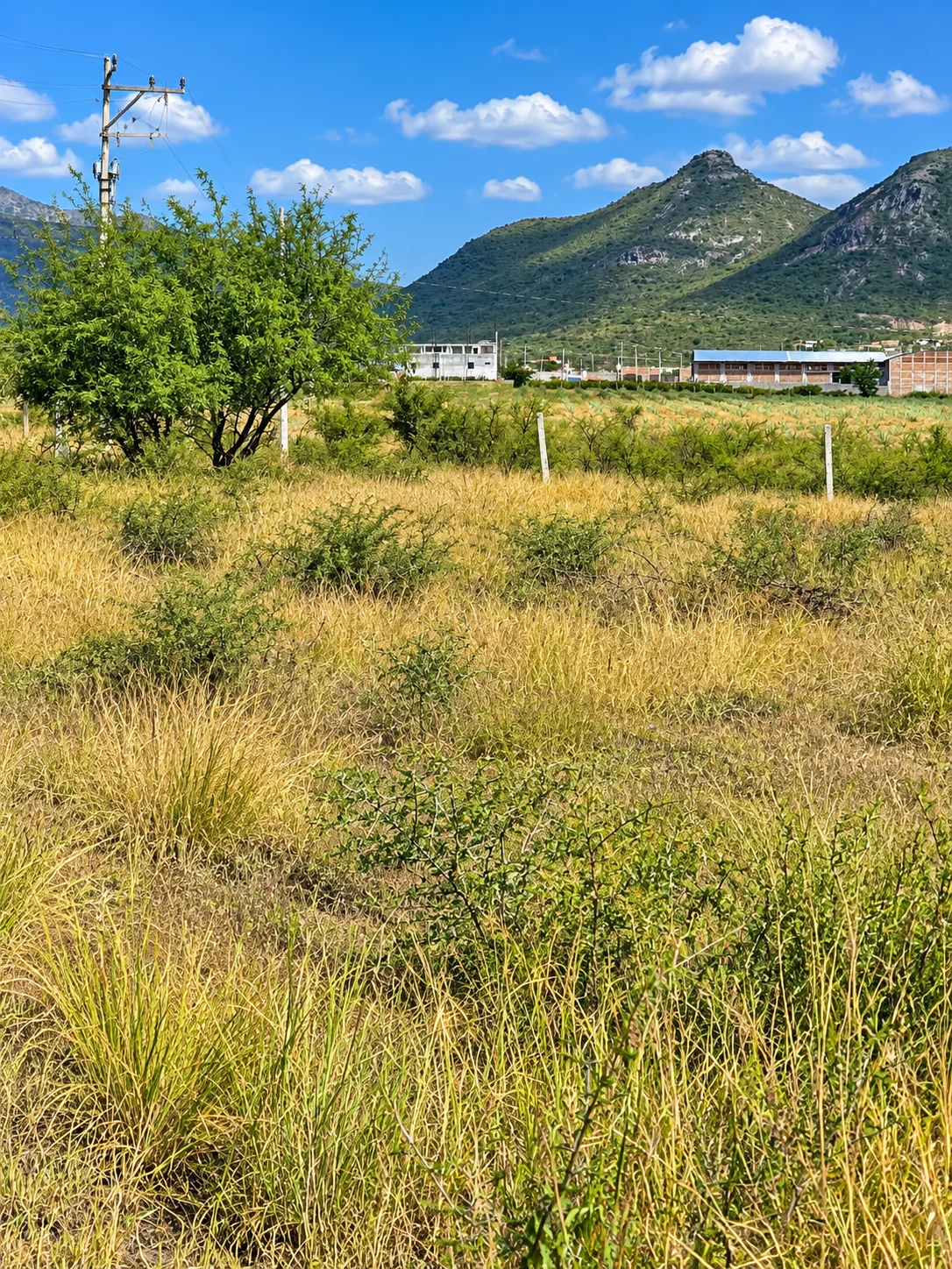 Lote · col.Lomas de Santa Ana · Tlacolula