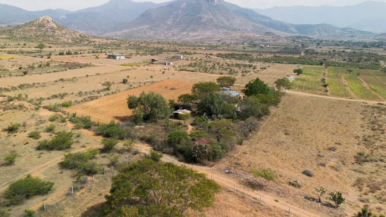Rancho · Villa Díaz Ordaz · 1800 m²-$ 1,490,000 — foto 6