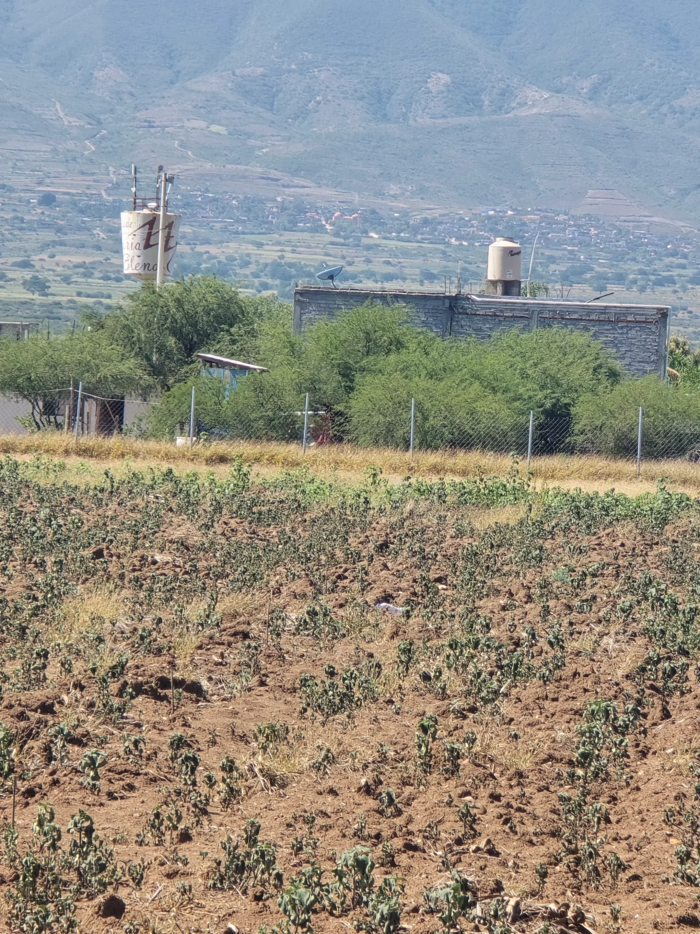 Lotes-el mezquite-cerca de carretera federal-vendido — foto 5