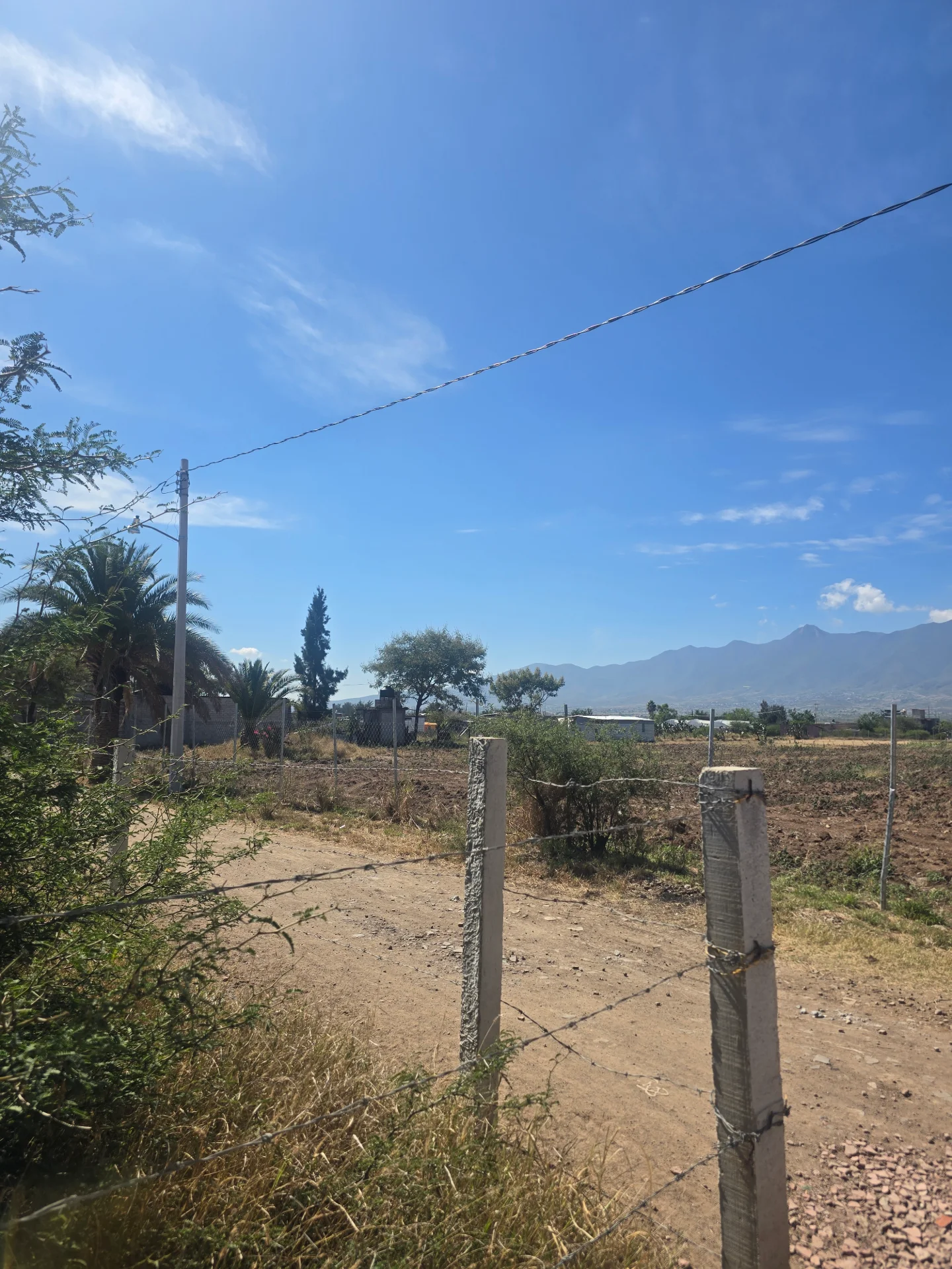 Lotes-el mezquite-cerca de carretera federal-vendido — foto 2