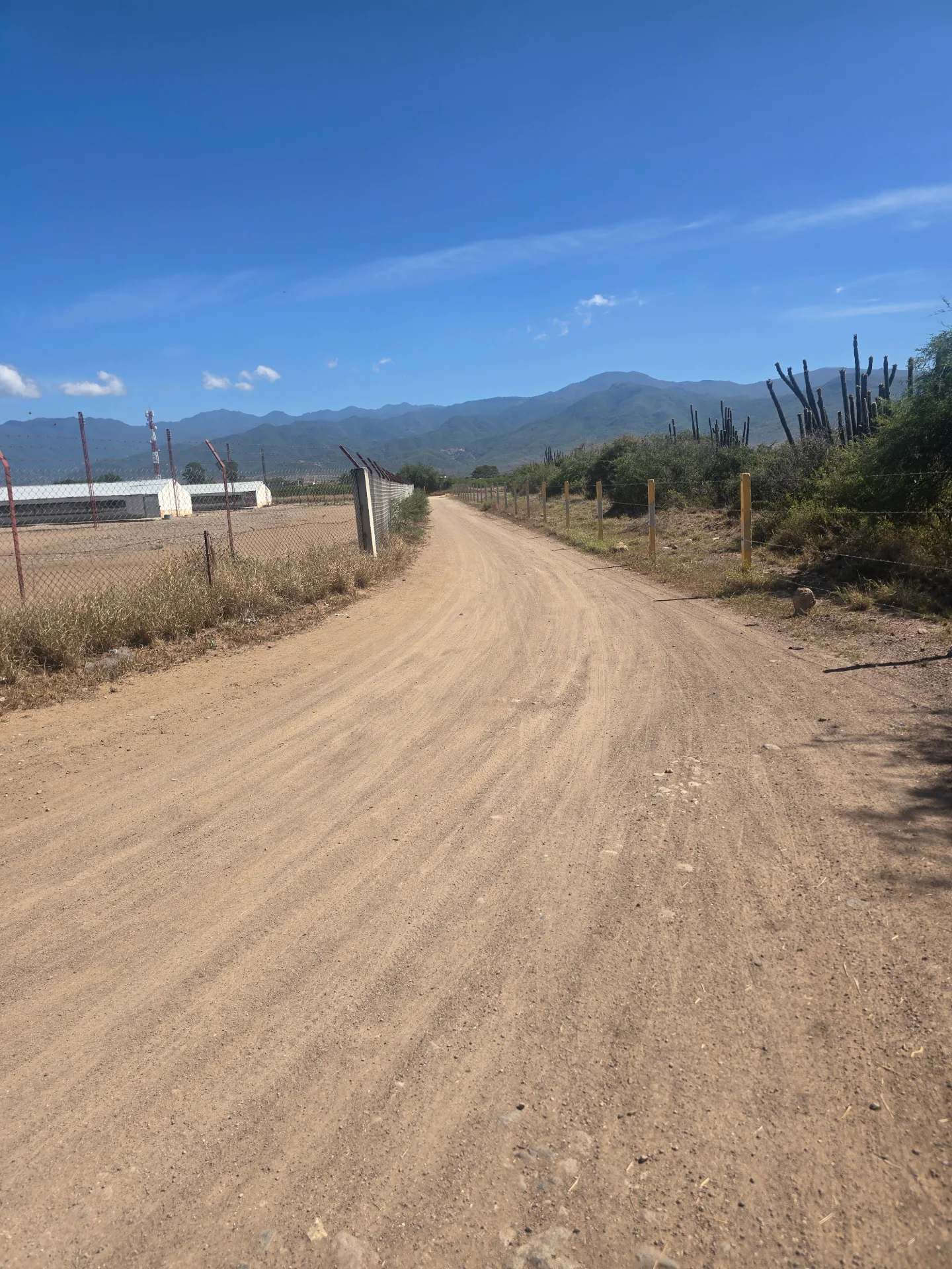 Lotes-el mezquite-cerca de carretera federal-vendido — foto 3