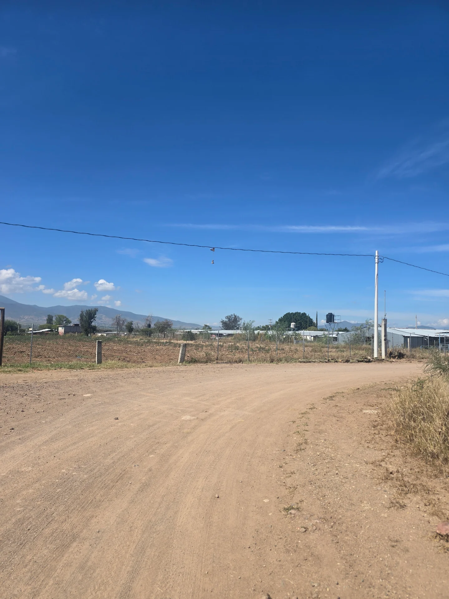 Lotes-el mezquite-cerca de carretera federal-vendido — foto 4