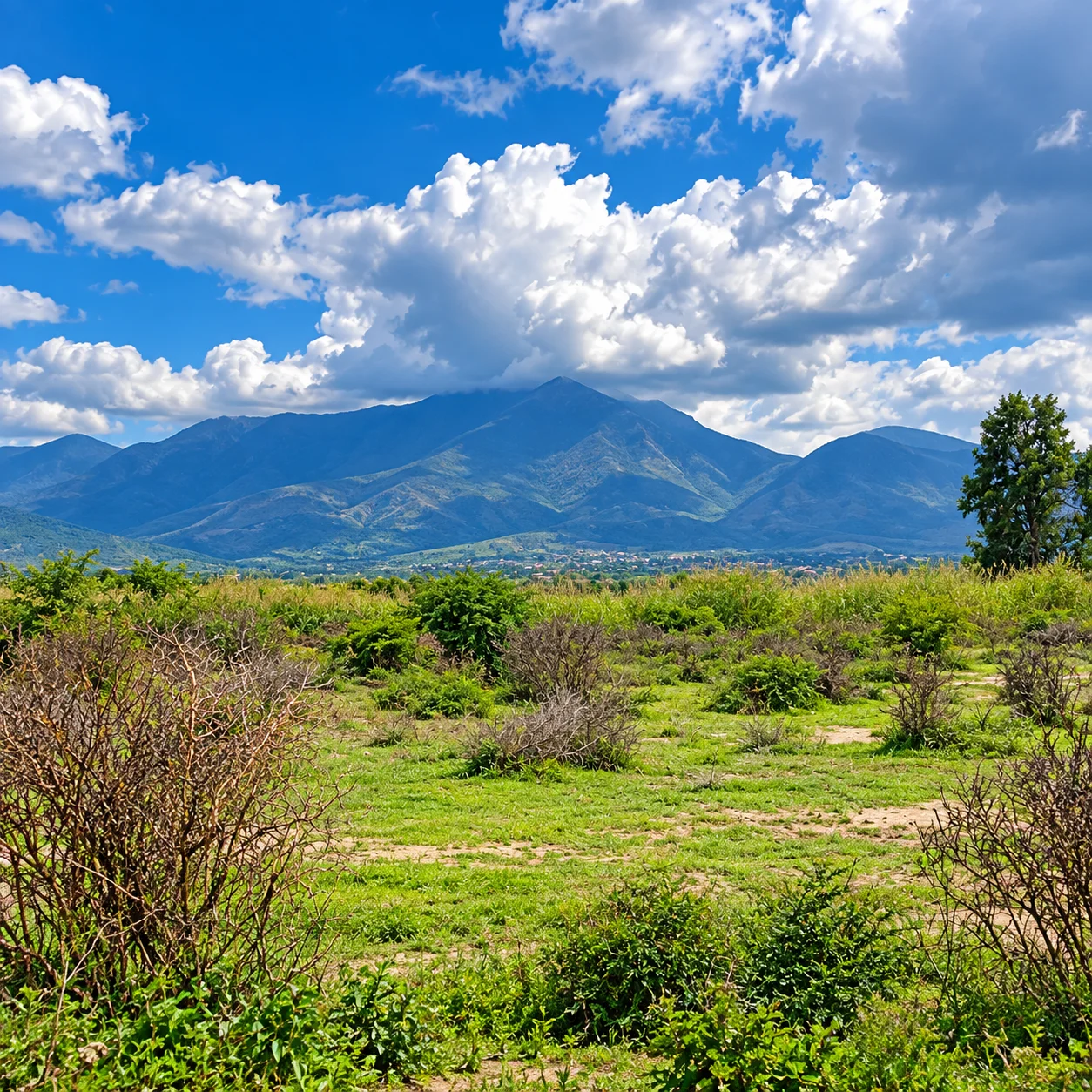 Terreno · Tlacolula — foto 5