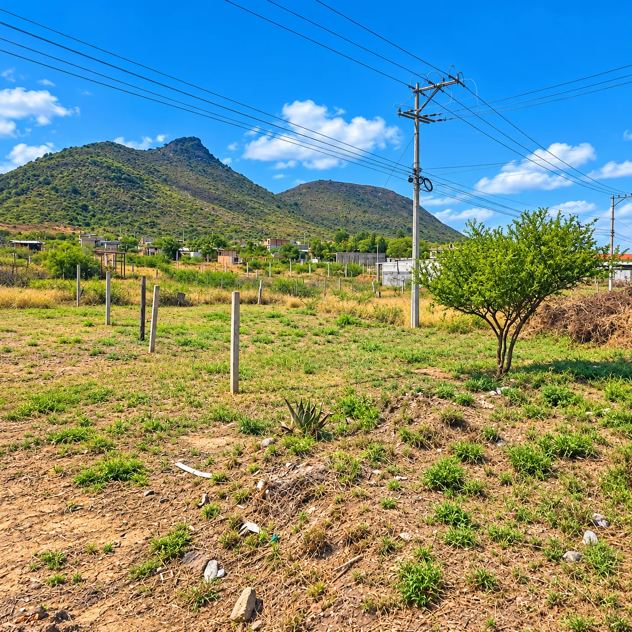 Lote-col.Jacarandas-entrada cd. Yagul · Tlacolula — foto 2