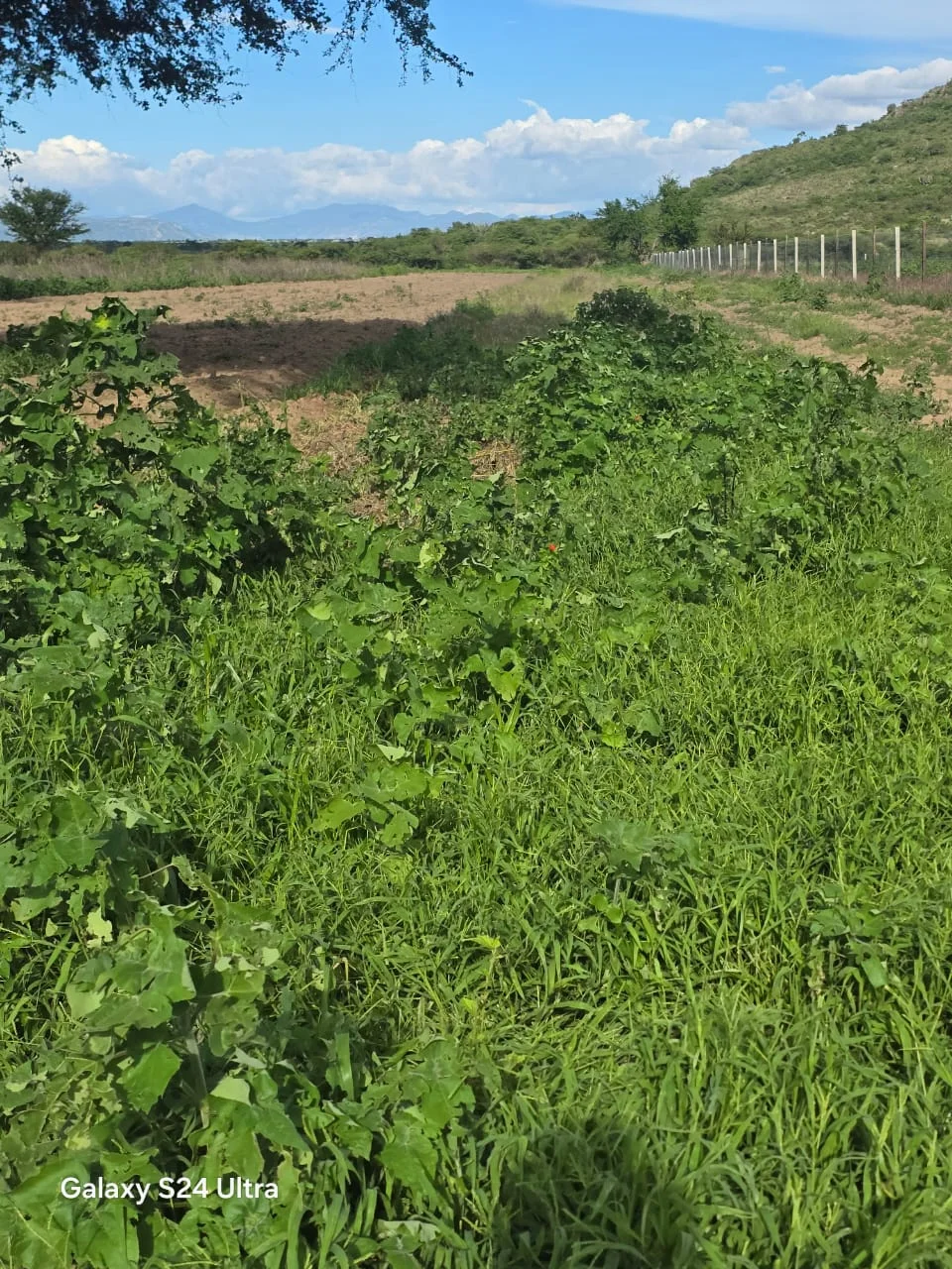 Terreno · San Sebastian Teitipac · Tlacolula — foto 2